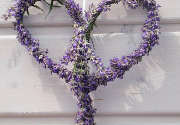 Jak vyrobit dekorace z levandule?