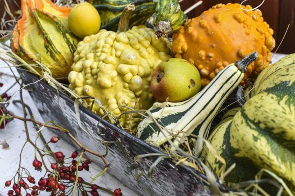 Podzimní dekorace, inspirace na tvoření