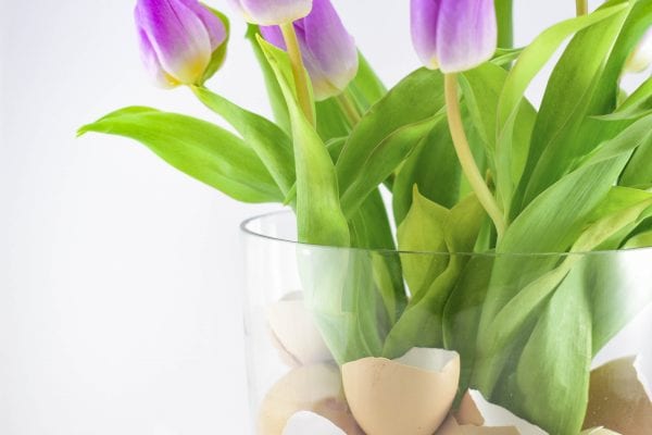 Jarní výzdoba na Velikonoce: kytice tulipánů trochu jinak