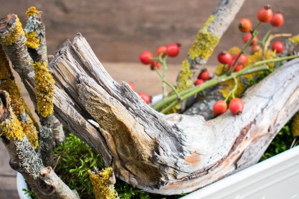 Podzimní truhlíky: výzdoba podzimních truhlíků