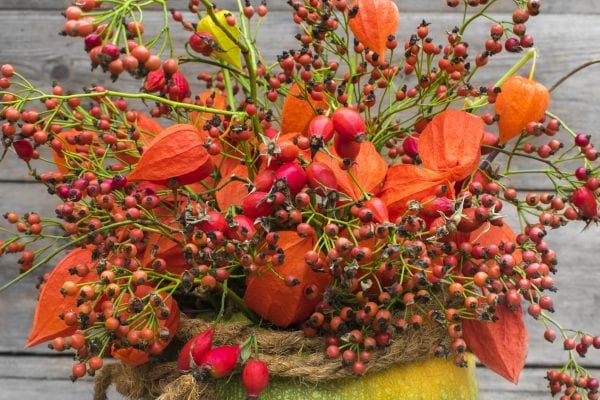 Rady a nápady na podzimní dekorace