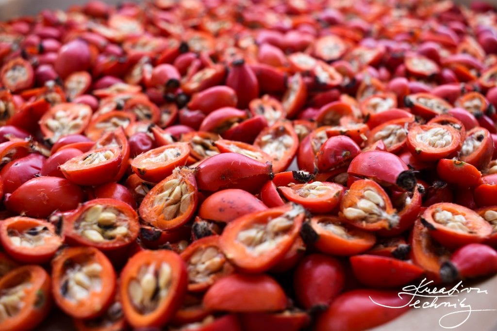 Rosehip tea recipe, rosehip diy, Rosehip tea of fresh rosehips, rosehip autumn tea, tasty rosehip tea, Rosehip tea of dried rosehips, rosehips tea recipe diy.  