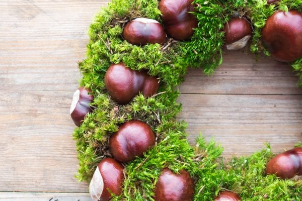 Autumn wreath of chestnuts and moss