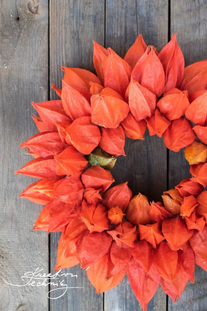 Autumn Wreath. Autumn Wreath DIY. Wreath Decoration. Wreath Decor. Cape Gooseberry. Cape Gooseberry Wreath. Front Door Decoration. Front Door DIY. Easy DIY.