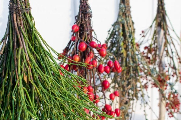 Christmas Trees with a Twist