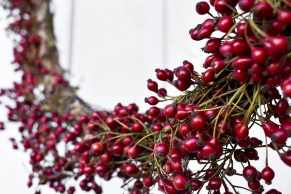 Podzimní věnec zdobený drobnými šípky