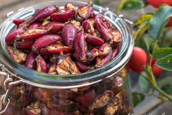 Rosehip tea recipe: Do you know how to prepare it correctly?