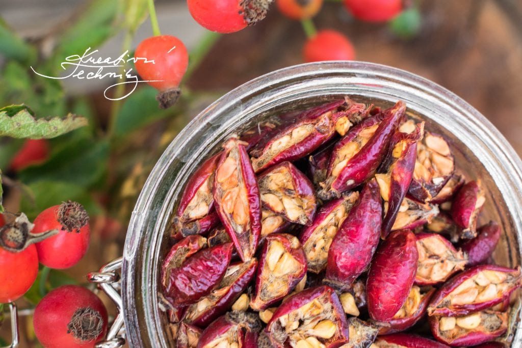 Collecting fresh rosehips, Rosehip tea recipe diy, Rosehip tea, Rosehip tea of fresh rosehips, Rosehip team of dried rosehips, Rosehip tea recipe, Tea recipe.