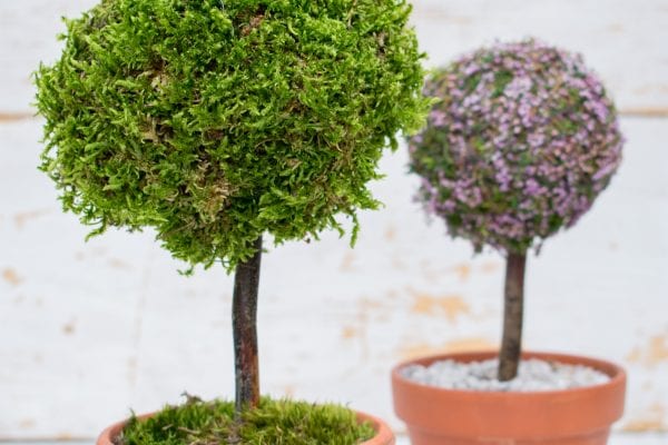 Podzimní tvoření z přírodnin