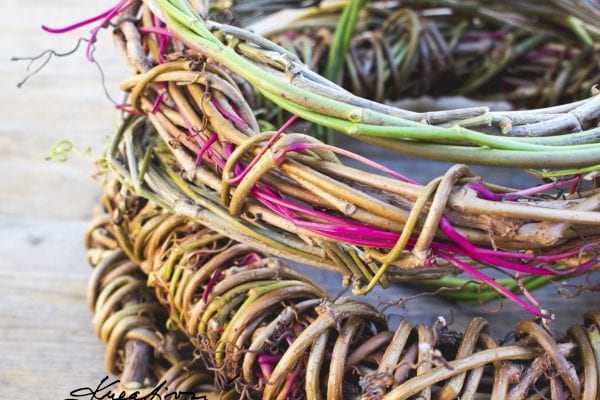 Korpus na věnec: vyrobte si vlastní