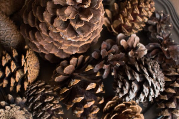 Vánoční dekorace ze šišek