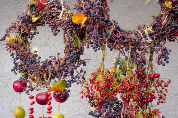 Ptačí věnce: krmítko pro ptáčky