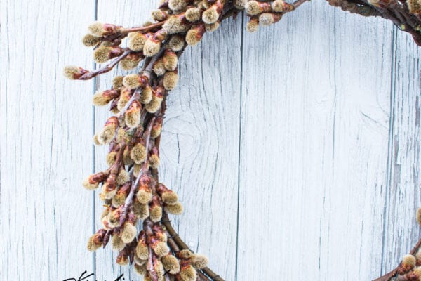 Jarní věnec z kočiček