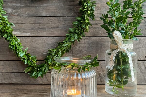 DIY dekorace z buxusu