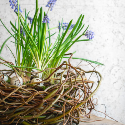 Jarní dekorace z kroucené vrby: DIY