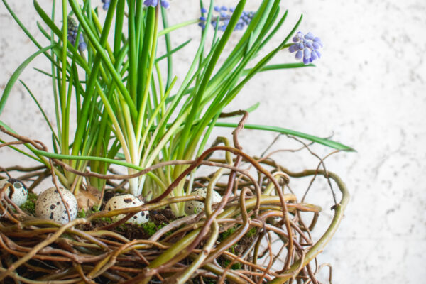 Jarní dekorace z kroucené vrby: DIY