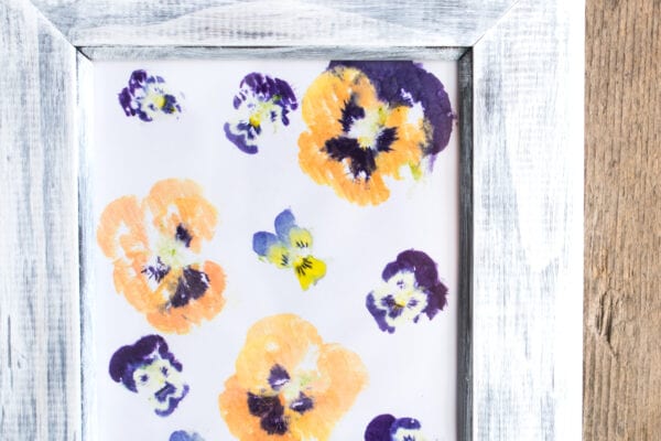 Dekorativní obrázek s maceškami: DIY návod