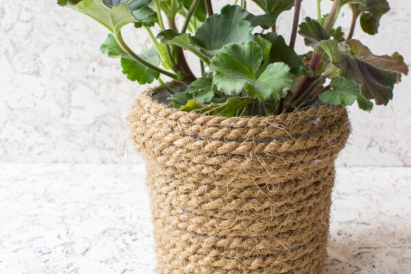 Jak si vyrobit stylový obal na květináč: DIY návod