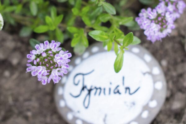 Malované kamínky: jmenovky k bylinkám