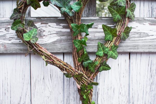 Věnec z břečťanu ve tvaru srdce: DIY návod