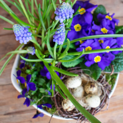 Jarní květinová dekorace v modré