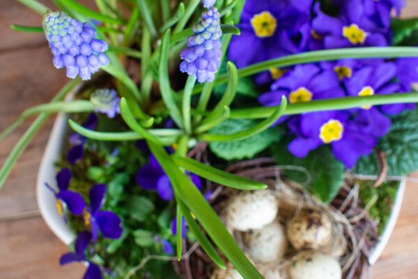Jarní květinová dekorace v modré