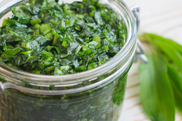 Pesto z medvědího česneku