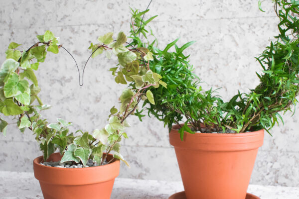 Květinová aranžmá v retro stylu