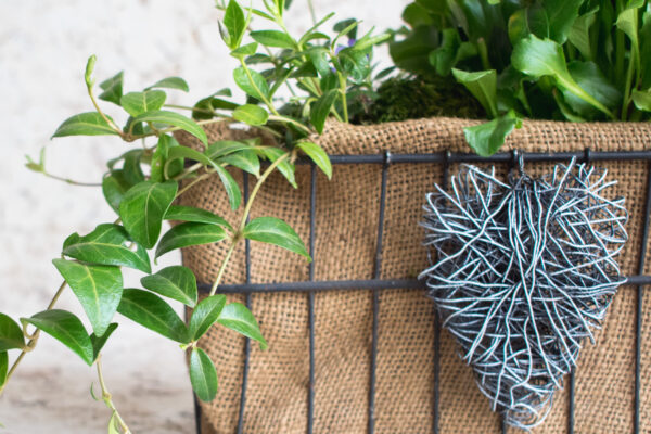 Tip na netradiční květinový truhlík