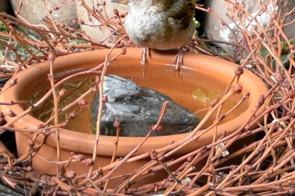 Zahradní dekorace pro zábavu i užitek: 3x jinak