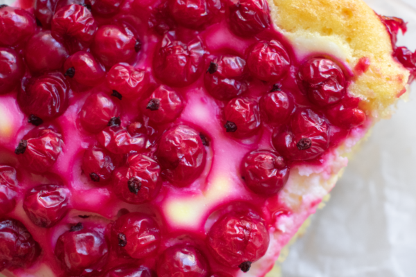 Rybízový koláč na plech