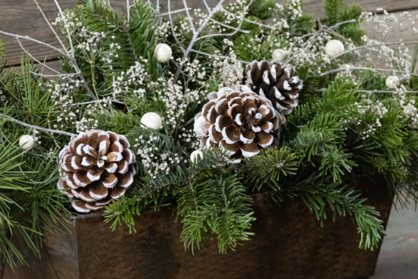 Inspirace na vánoční truhlíky