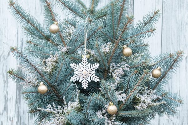 Venkovní vánoční dekorace