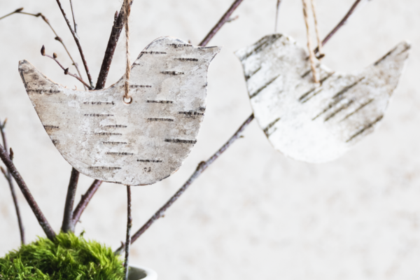 Dekorace z břízy, která vás nestojí téměř nic