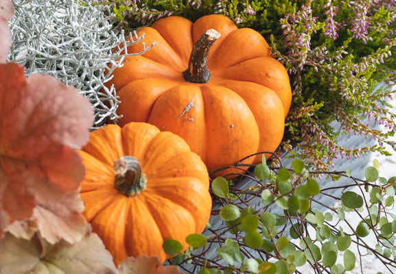 Inspirace na podzimní truhlíky