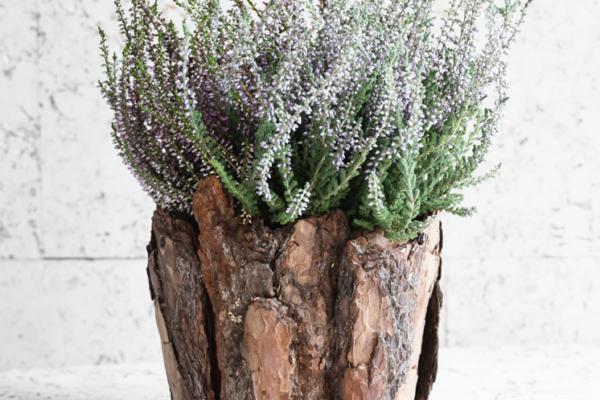 Podzimní dekorace z kůry a vřesu