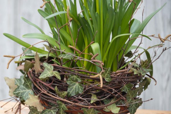 Jarní dekorace na hrob: Jednoduchá a vkusná výzdoba na hřbitov