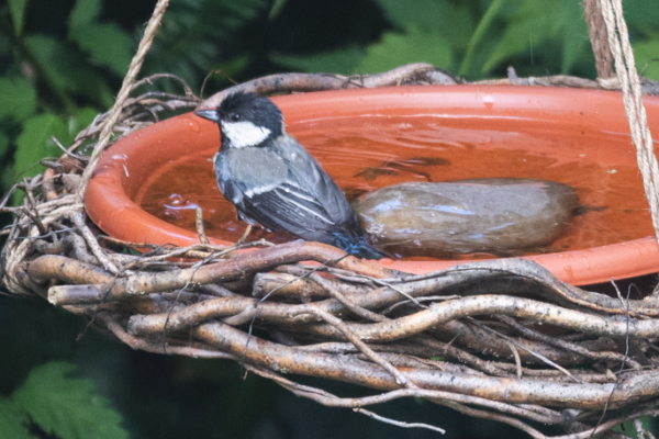 Zahradní dekorace pro užitek i zábavu