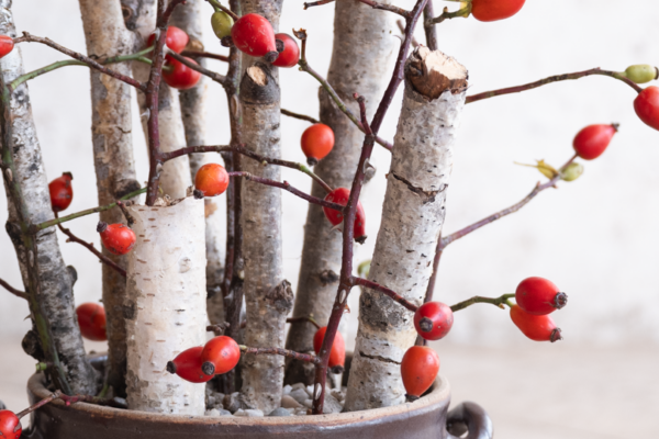 Podzimní dekorace z šípků: Jednoduchá a efektní