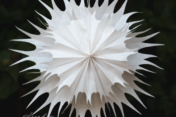 Vánoční dekorace na okno: Krásná a velmi jednoduchá