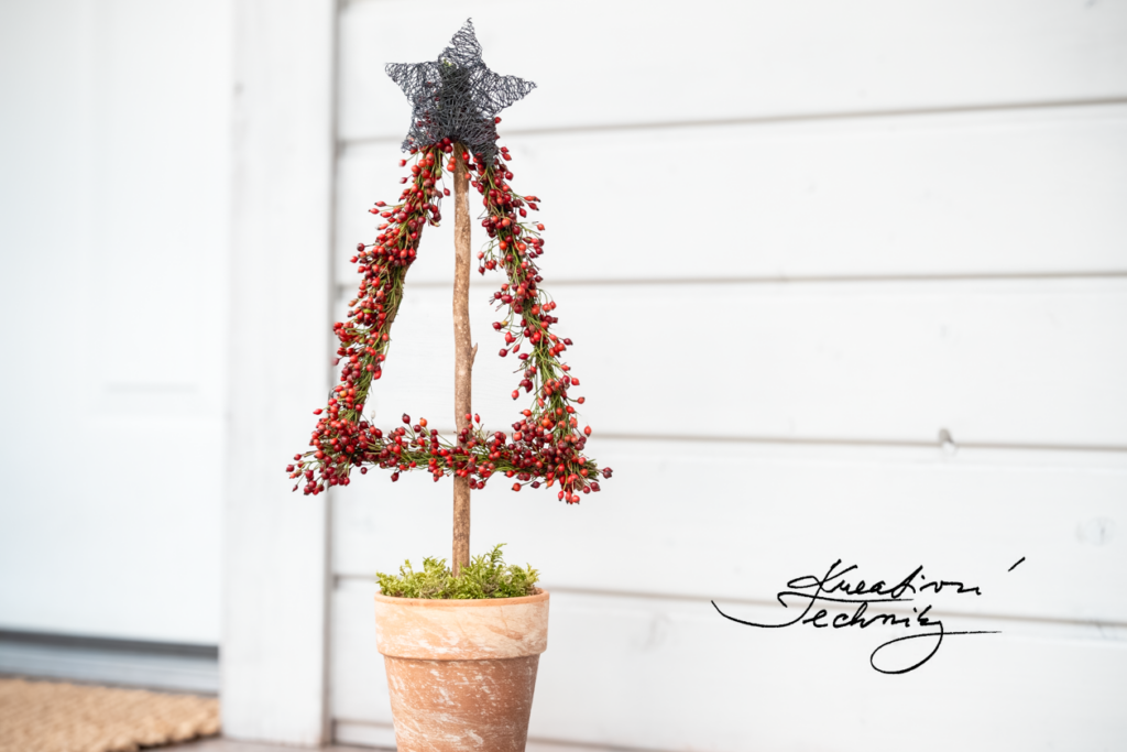 Vánoční dekorace. Vánoční dekorace ke vchodu. Ke dveřím. Vánoční truhlík před dům. Vánoční dekorace před dveře. Venkovní vánoční dekorace. Před vchod. Venkovní vánoční výzdoba. Dveří. Vánoční dekorace ke vchodovým dveřím. Vánoční dekorace vchodu. Inspirace. Dekorace z šípků vánoční. Výroba vánoční dekorace. Vánoční výzdoba do bytu. Video návod. Inspirace. Nápady na vánoční dekorace. Videonávod. DIY. Návody. Vánoční tvoření. Vánoční truhlíky. Venkovní. Truhlík. Co dát do truhlíku na Vánoce. Co dát do vánočního truhlíku. Foto. Návod. Zimní truhlíky. Zimní výzdoba. Dveří. Jak udělat vánoční truhlík. Truhlíky. Venkovní vánoční výzdoba na balkon.