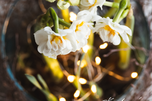 Jarní dekorace do bytu: Jednoduchá a velmi efektní