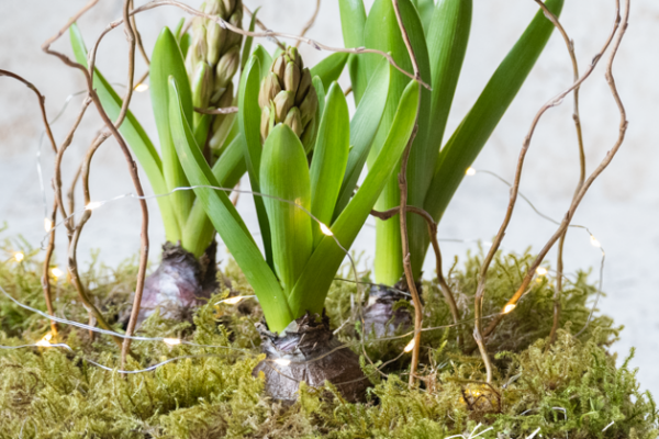Velikonoční dekorace na stůl