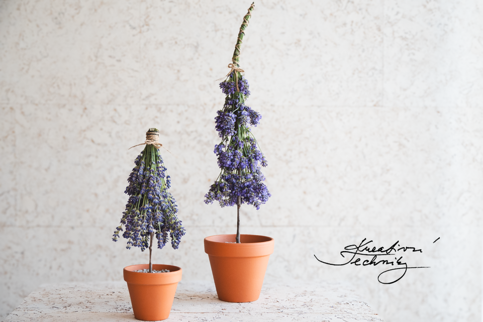 Levandule dekorace. Z levandulí. Dekorace z levandule. Nápad. Nápady. Lavender. Pěstování levandule. Dekorace levandule. Okrasná levandule. Levandule. Jak vyrobit dekorace z levandule. Sušená levandule. Dekorace ze sušené levandule. Výroba dekorace. Levandulová dekorace. Tvoření z levandule. Kreativní tvoření. Kytice levandule. Levandulová kytice. Vázání levandule. Jak uvázat levandule. Venkovský styl. Provence styl. Provence. Návod. Návody. DIY. Stromeček. Stromečky.
