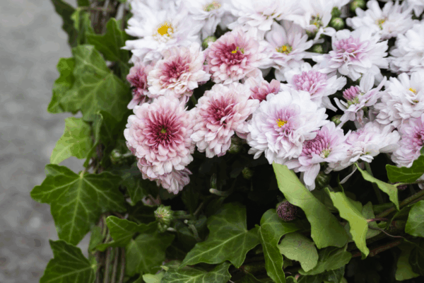 Podzimní dekorace na hrob