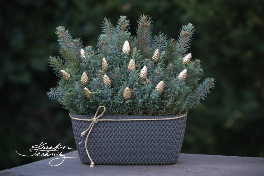 Vánoční truhlíky. Vánoční truhlík. Na okno. Vánoční truhlíky na okna. Venkovní. S chvojím. Dekorace do truhlíku. Vánoční dekorace. Vánoční výzdoba. Co dát do truhlíku na Vánoce. Vánoční dekorace do truhlíku. Vánoční dekorace před dveře. Vánoční výzdoba oken. Co dát do vánočního truhlíku. Vánoční dekorace venkovní. Na okno. Vánoční dekorace ke dveřím. Vánoční dekorace před vchod. Vánoční výzdoba truhlíků. Výroba vánoční dekorace do truhlíků. Ke vchodovým dveřím. Vánoční dekorace ke vchodu. Foto. Návod. Návody. Video návod. Inspirace. Zimní truhlíky. Zimní výzdoba. Zimní výzdoba oken. Jak udělat. Venkovní vánoční výzdoba na balkon. Vánoční truhlíky výzdoba. Výzdoba vánočních truhlíků.