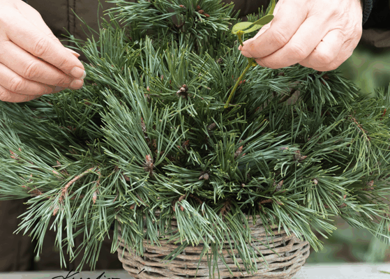Vánoční dekorace na hrob