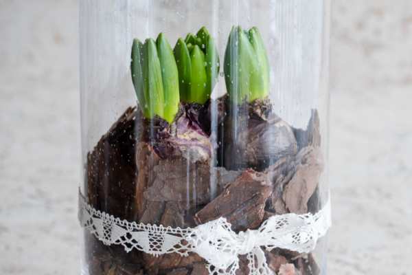 Jarní dekorace na stůl, kterou vytvoříte během chvilky