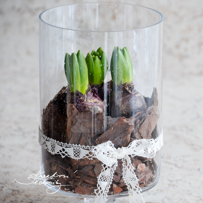 Dekorace do bytu. Jarní dekorace. Tvoření. Jarní dekorace na stůl. Inspirace. Dekorace na stůl. Velikonoční dekorace. Bytová dekorace. Hyacint. Hyacinty. Dekorace stolu. Dekorace ve skle. Dekorace ve skleněné nádobě. Jarní květiny tvoření. Jarní kvetoucí květiny. DIY návody. Jarní výzdoba. Výroba jarní dekorace. Domácí výroba jarních dekorací. Návod. Video návod. Kreativní tvoření. DIY návody. Inspirace. Kůra. Přírodní dekorace. Dekorace v boho stylu. Boho styl dekorace.