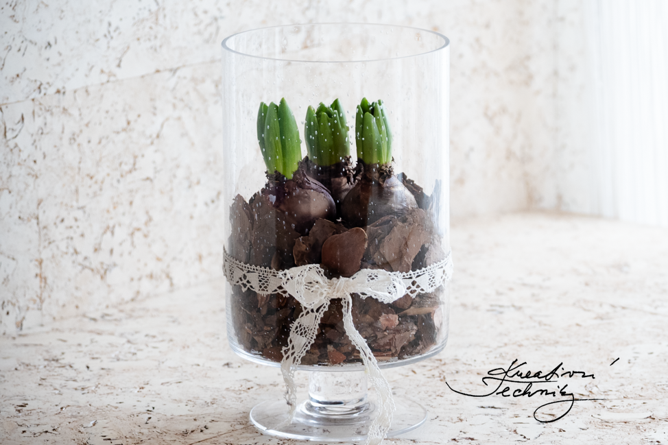 Jarní dekorace. Tvoření. Jarní dekorace na stůl. Inspirace. Dekorace na stůl. Velikonoční dekorace. Dekorace do bytu. Bytová dekorace. Hyacint. Hyacinty. Dekorace stolu. Dekorace ve skle. Dekorace ve skleněné nádobě. Jarní květiny tvoření. Jarní kvetoucí květiny. DIY návody. Jarní výzdoba. Výroba jarní dekorace. Domácí výroba jarních dekorací. Návod. Video návod. Kreativní tvoření. DIY návody. Inspirace. Kůra. Přírodní dekorace. Dekorace v boho stylu. Boho styl dekorace.